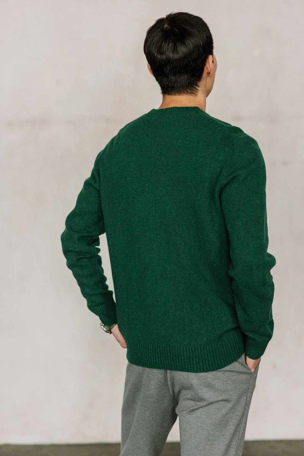 PULL FREEMANT.PORTER SOLINO